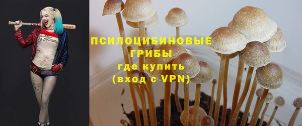 прущая мука Кодинск