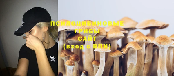 прущая мука Кодинск