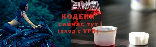 дживик Козельск