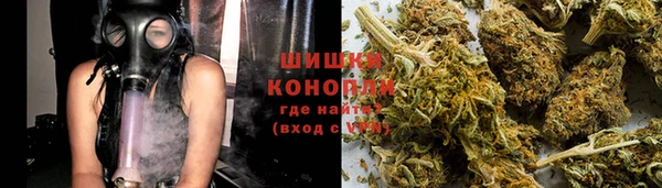 дживик Козельск